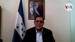 "Que presenten las pruebas contundentes": Canciller de Honduras sobre supuestos nexos de presidente Hernández con narcotráfico
