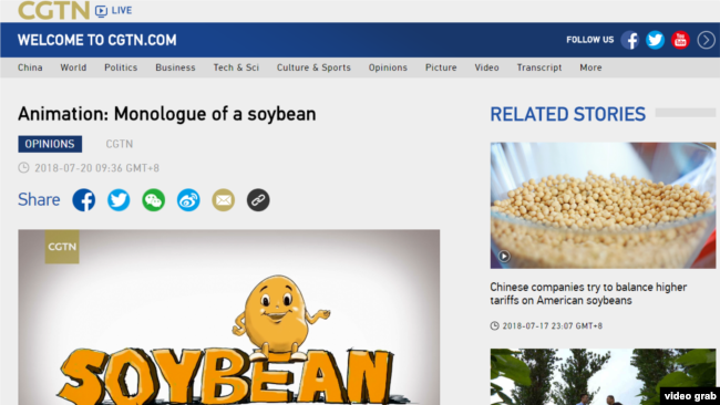 2018年7月20日，中国官方海外媒体CGTN发布了一段英文的动画视频《大豆的独白》（Monologue of a Soy Bean），以一个卡通大豆的口吻讲述美中贸易战对美国农业州的影响。（图为CGTN网站截屏，时间2018年7月20日下午2点。）