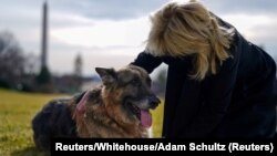 U.S. First Lady Jill Biden pets one of the family dogs, Champ, after his arrival from Delaware