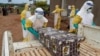 MSF: Community Mistrust Hampers Ebola Fight in Eastern Congo