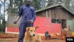 FILE - Dogs at Kenya’s KSPCA, which deals regularly with cases of rabies, get checked under a vaccination initiative. (H. Heuler/VOA News)