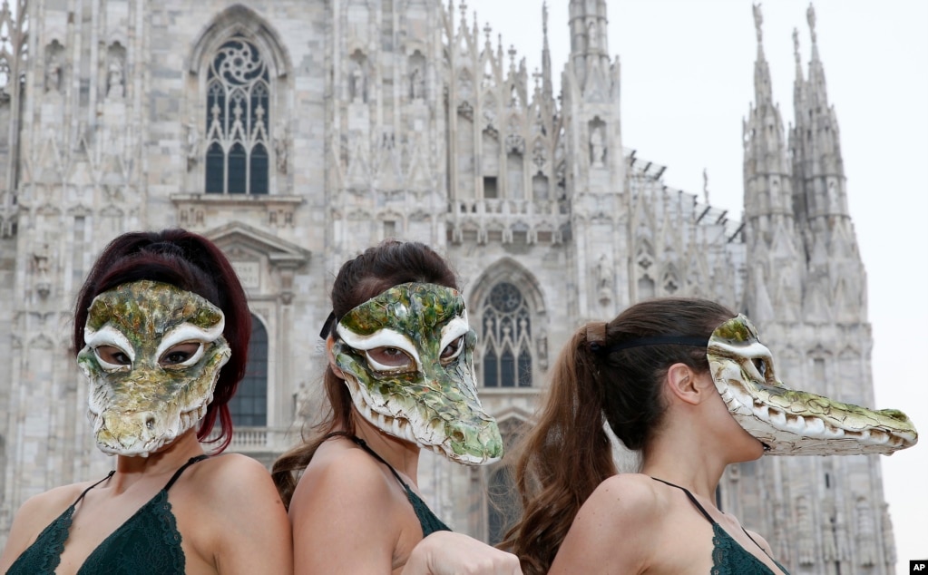 밀라노 패션위크가 진행중인 이탈리아 밀라노의 두오모 광장에서 동물보호단체 페타(PETA) 관계자들이 악어가죽 사용에 반대하는 시위를 벌이고 있다.  