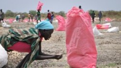Minute Eco: Le Soudan récolte 1 milliard 115 million de tonnes de blé