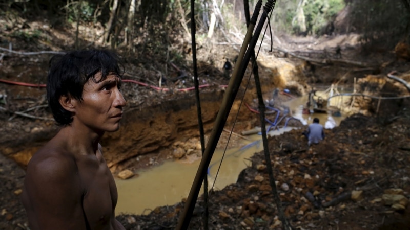 Penambangan Ilegal Meningkat di Tanah Adat Brazil