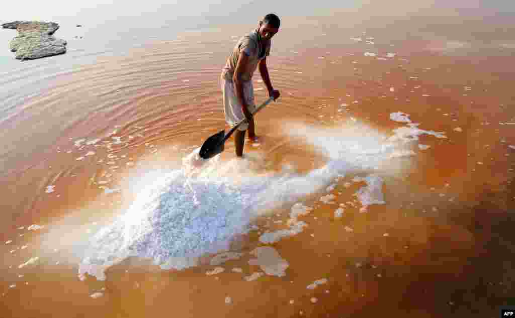 Iraqi salt workers harvest salt in saline water in the town of Diwaniyah, around 160 kilometeres south of the capital Baghdad.