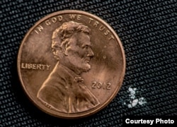 A lethal dose of fentanyl next to a penny. (DEA photo)