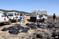 Rescuers remove body bags from the scene of an Ethiopian Airlines flight that crashed shortly after takeoff at Hejere near Bishoftu, or Debre Zeit, some 50 kilometers (31 miles) south of Addis Ababa, in Ethiopia Sunday, March 10, 2019
