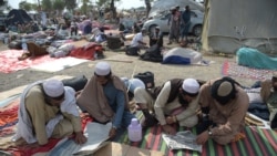 آزادی مارچ میں شریک جمعیت علماء اسلام (ف) کے کارکن پنڈال میں اخبارات کے مطالعے میں مصروف ہیں۔