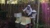 Bees Help Woman Get Through Pandemic