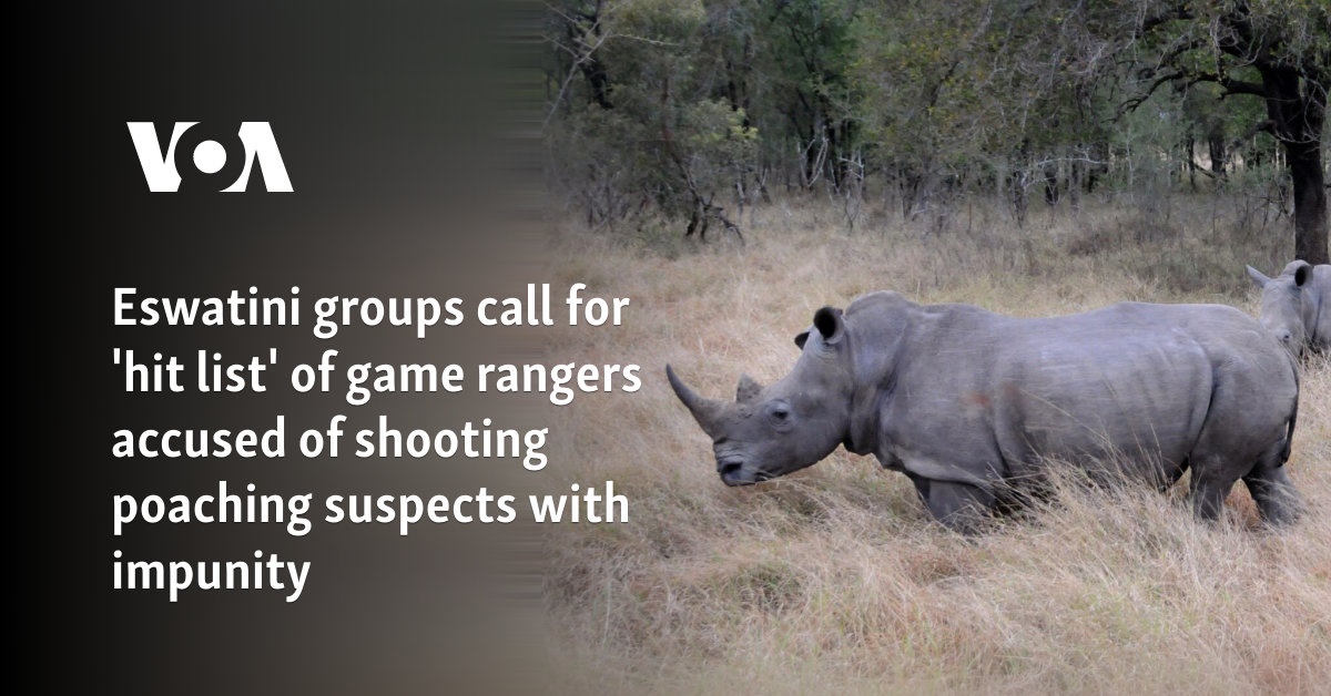 Eswatini groups call for 'hit list' of game rangers accused of shooting poaching suspects with impunity
