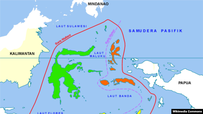 Wallacea adalah kawasan biogeografis yang mencakup sekelompok pulau-pulau dan kepulauan di wilayah Indonesia bagian tengah, terpisah dari paparan benua-benua Asia dan Australia oleh selat-selat yang dalam. (Foto: Wikipedia)