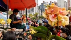 香港黃色經濟圈小型”和你宵”遍地開花 賀年物品將抗爭理念融入生活