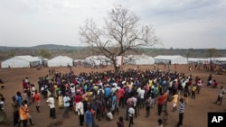 In this April 3, 2017, photo in the Imvepi camp, South Sudanese refugees gather under a tree from which names are announced for those allocated a land parcel from the Ugandan government. The civil war in South Sudan has killed tens of thousands and driven out more than 1.5 million people in the past three years. 