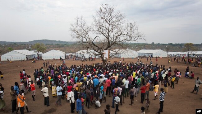 In this April 3, 2017, photo in the Imvepi camp, South Sudanese refugees gather under a tree from which names are announced for those allocated a land parcel from the Ugandan government. The civil war in South Sudan has killed tens of thousands and driven out more than 1.5 million people in the past three years. 