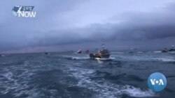 [글로벌 나우] 영국-프랑스 어부들 조업권 갈등 ‘충돌’ 