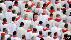 La ordenación de hombres casados como sacerdotes se podría dar en zonas remotas de la Amazonía, según documento que espera debatir el Vaticano.