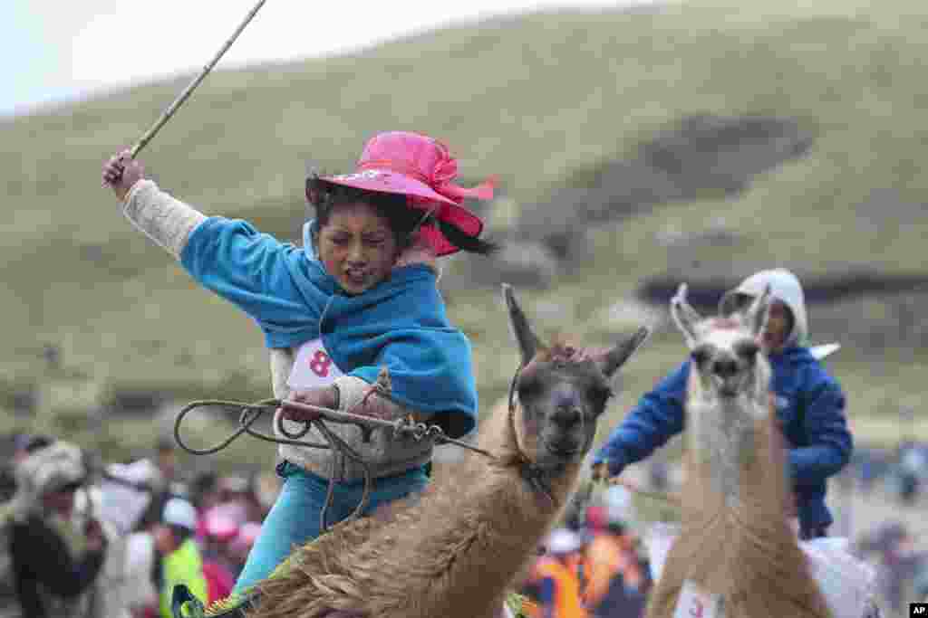 Milena Jami whips her llama to win the first place in the a race for children of ages seven and eight at the Llanganates National Park, Ecuador, Feb. 8, 2020.