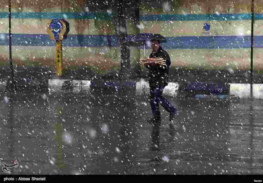 بارش برف بهاری در کرج عکس: عباس شریعتی