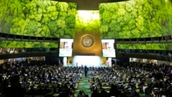 L'ONU déclare l'urgence climatique, les dirigeants mondiaux sous pression