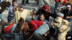 Supporters of Egyptian President Hosni Mubarak, on horses and a camel, clash with anti-regime protesters in Cairo on February 2, 2011