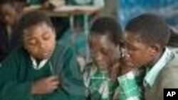 Zimbabwe Sets Aside US$1 Million For Poor Students' Examination Fees
