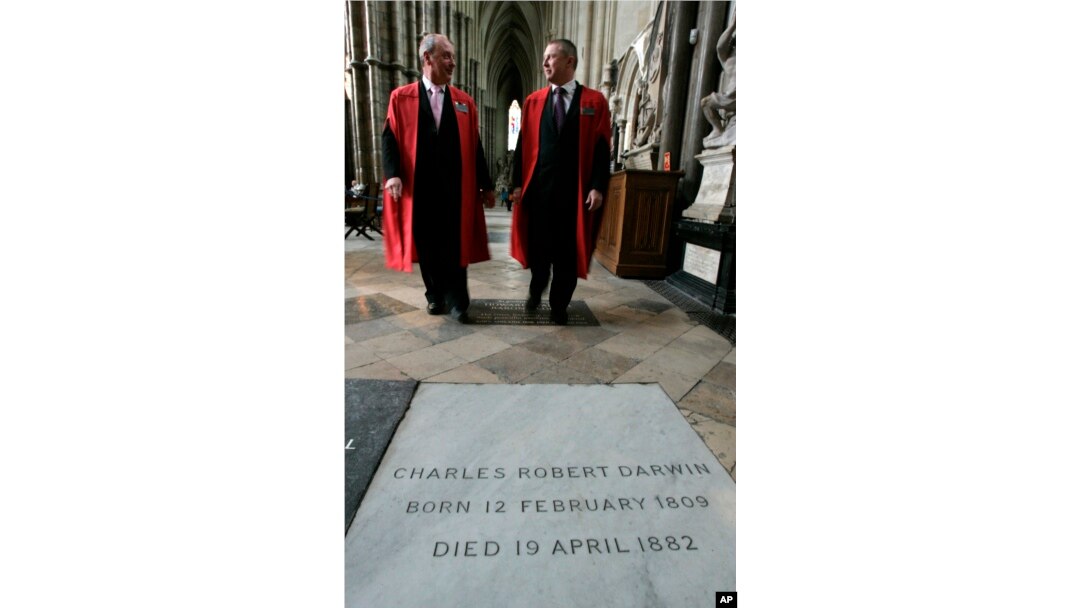 Dua pemandu katedral berjalan ke arah makam Charles Darwin di Westminster Abbey, di London, 4 Februari 2009.