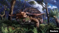 The armoured dinosaur Borealopelta markmitchelli, which lived 110 million years ago in what is now the Canadian province of Alberta, eats ferns in an illustration released on June 2, 2020. (Royal Tyrrell Museum of Palaeontology/Julius Csotonyi/Handout via REUTERS)