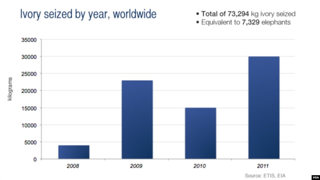 Ivory seized by year, worldwide, from 2008 to 2012.