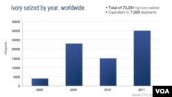 Ivory seized by year, worldwide, from 2008 to 2012.