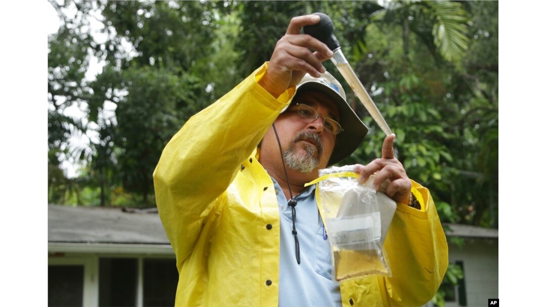 Robert Muxo of the Miami-Dade County Mosquito Control department, takes a sample of water that was standing in a potted plant in Miami, June 21, 2016. The department was responding to complaints about mosquitoes by a neighborhood resident.