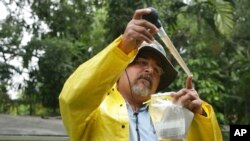 FILE - Robert Muxo of Miami-Dade County mosquito control, takes a sample of water that was standing in a potted plant in Miami, June 21, 2016. Health officials are concerned about the spread of the Zika virus in the U.S., which is spread by the Aedes aegypti mosquito.