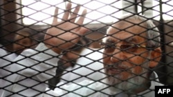 FILE - Egyptian Muslim Brotherhood's general guide , Mohamed Badie at the trial of Brotherhood members in February, 2014 near Cairo's Turah prison.