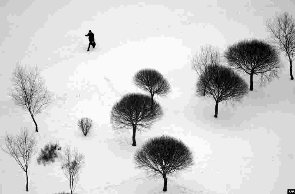 یک مرد در حال عبور از پارک پر از برف در شهر مینسک بلاروس.