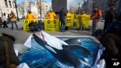 Greenpeace activists rally to demand the release of whales caught illegally off the Russian Far East coast, in Moscow, April 2, 2019. Russia told people Oct. 3, 2020, to stay off a Far East beach because of pollution that Greenpeace labeled a disaster.