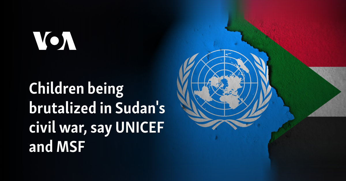 Children being brutalized in Sudan's civil war, say UNICEF and MSF