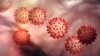 Мутації коронавірусу не роблять його більш заразним – попередні результати дослідження (оновлено)