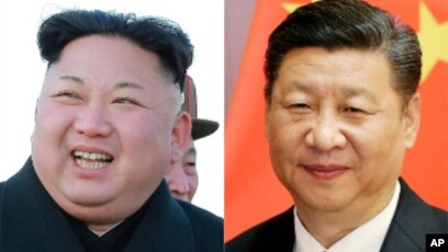 ダウンロード済み 朝鮮耳 日本耳 最高のスタイルのインスピレーション