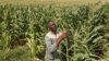 Deux fermiers blancs sud-africains libérés après avoir tenté d'enfermer un jeune Noir dans un cercueil