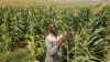 Black Farmers Struggle with Land Reform