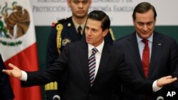 墨西哥總統涅托1月9日對其民眾講關於他的經濟政策。