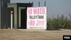 Central Valley farmers worry about the loss of crops and jobs if water reductions force cutbacks in growing. (Screen grab from video by M. O'Sullivan/VOA)