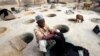 Business Fades at Nigeria’s Traditional Dye Pits