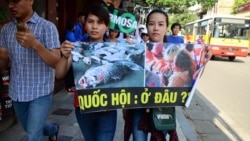 Việt Nam tiếp tục đàn áp biểu tình vụ cá chết
