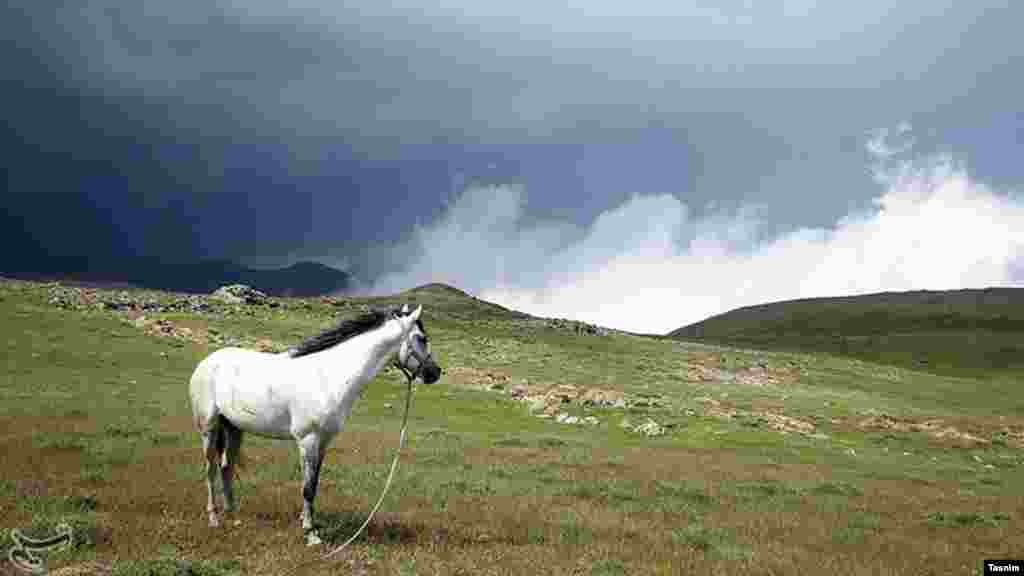 طبیعت سوباتان اردبیل عکس: محسن زارع، تسنیم