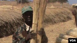 A man seeling grass to make a living in Kariba.