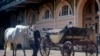 Meghan and Harry Choose Horse-Drawn Carriage for Wedding Day