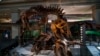 Famed Museum in Washington Welcomes T. Rex