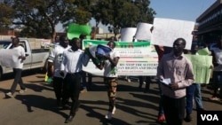 Some of the protesters that took to the street in Harare on Tuesday.