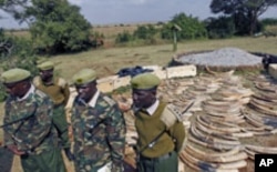 Kenya Wildlife Service officers stand guard near a shipment of elephant tusks and rhino horns that were intercepted at Jomo Kenyatta International Airport, in Nairobi, Kenya, August 2010. (file photo)