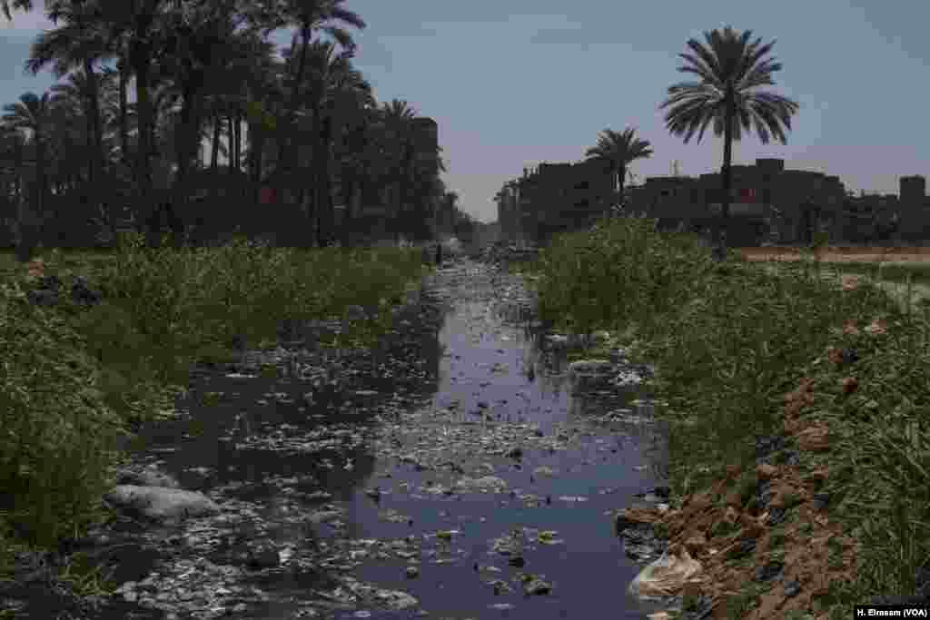 Trash blows into a ditch used for irrigation in Al-Marg, a low-income district north of Cairo. Access to water that is free from garbage and industrial pollution is a challenge for many Egyptian farmers.